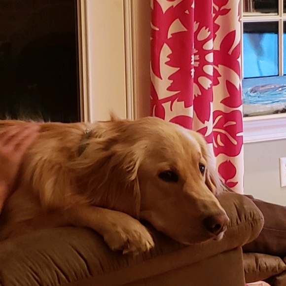 Meet your Posher, Dana - Picture 1 of 1